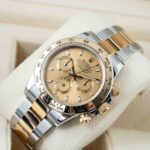 Rolex Daytona 116503 2022