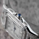 Cartier Panthere De Cartier WSPN007 2020