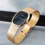 Patek Philippe Ellipse 3548