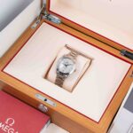 Omega Seamaster Aqua Terra  220.10.34.20.55.001 2024