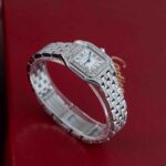 Cartier Panthere De Cartier WSPN0006 2018