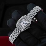 Cartier Panthere De Cartier WSPN0006 2018