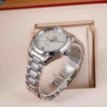 Omega Seamaster Aqua Terra  220.10.34.20.55.001 2024