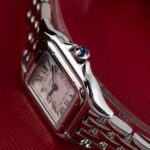 Cartier Panthère WSPN0006 2022