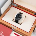 Omega Seamaster 210.30.42.20.01.001 2020