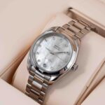 Omega Seamaster Aqua Terra  220.10.34.20.55.001 2024