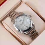 Omega Seamaster Aqua Terra  220.10.34.20.55.001 2024