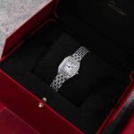 Cartier Panthere De Cartier WSPN0006 2018