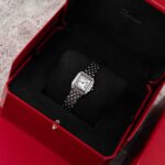 Cartier Panthère WSPN0006 2022