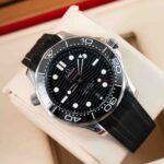 Omega Seamaster 210.30.42.20.01.001 2020
