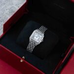 Cartier Panthere De Cartier WSPN0007 2019