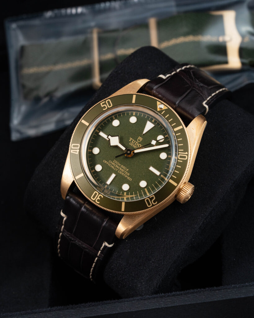 Tudor Black Bay 79018V 2021