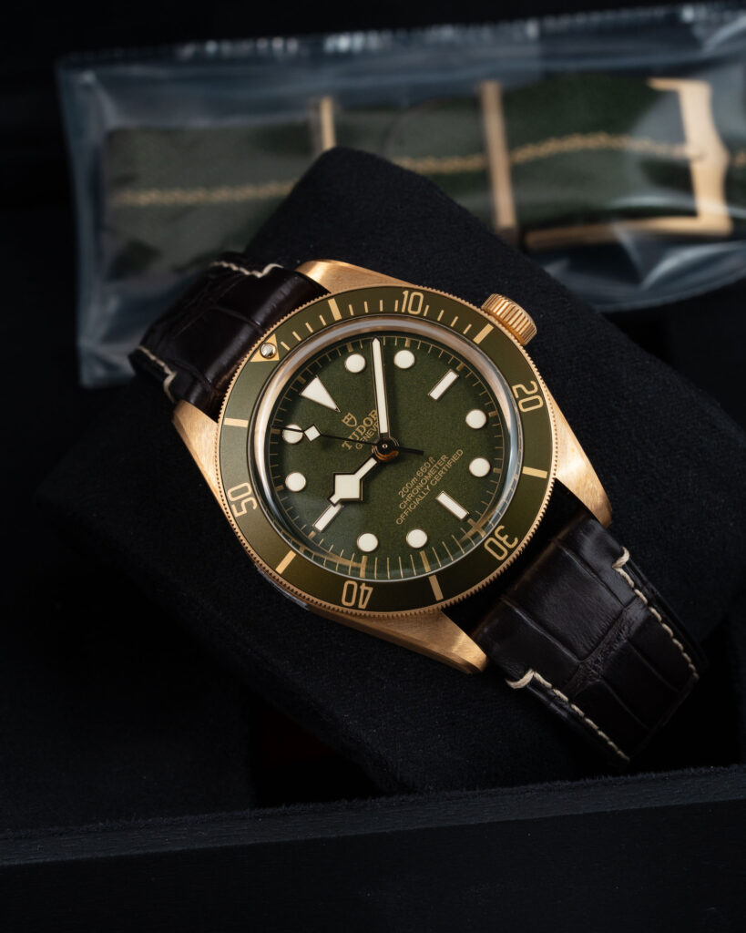 Tudor Black Bay 79018V 2021