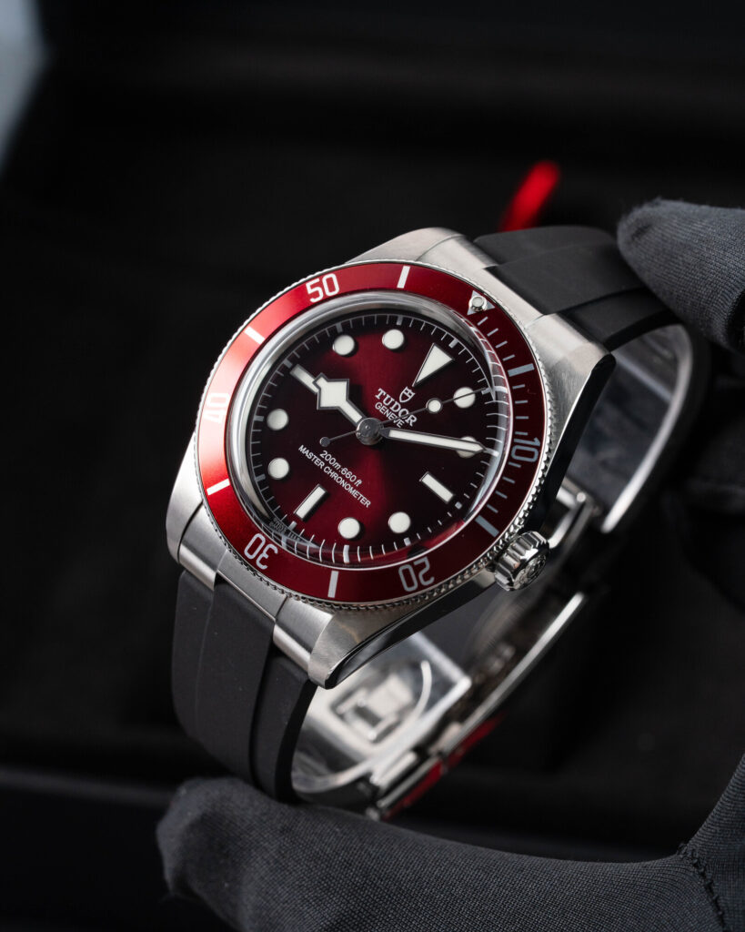 Tudor Black Bay 7939A1A0RU 2025