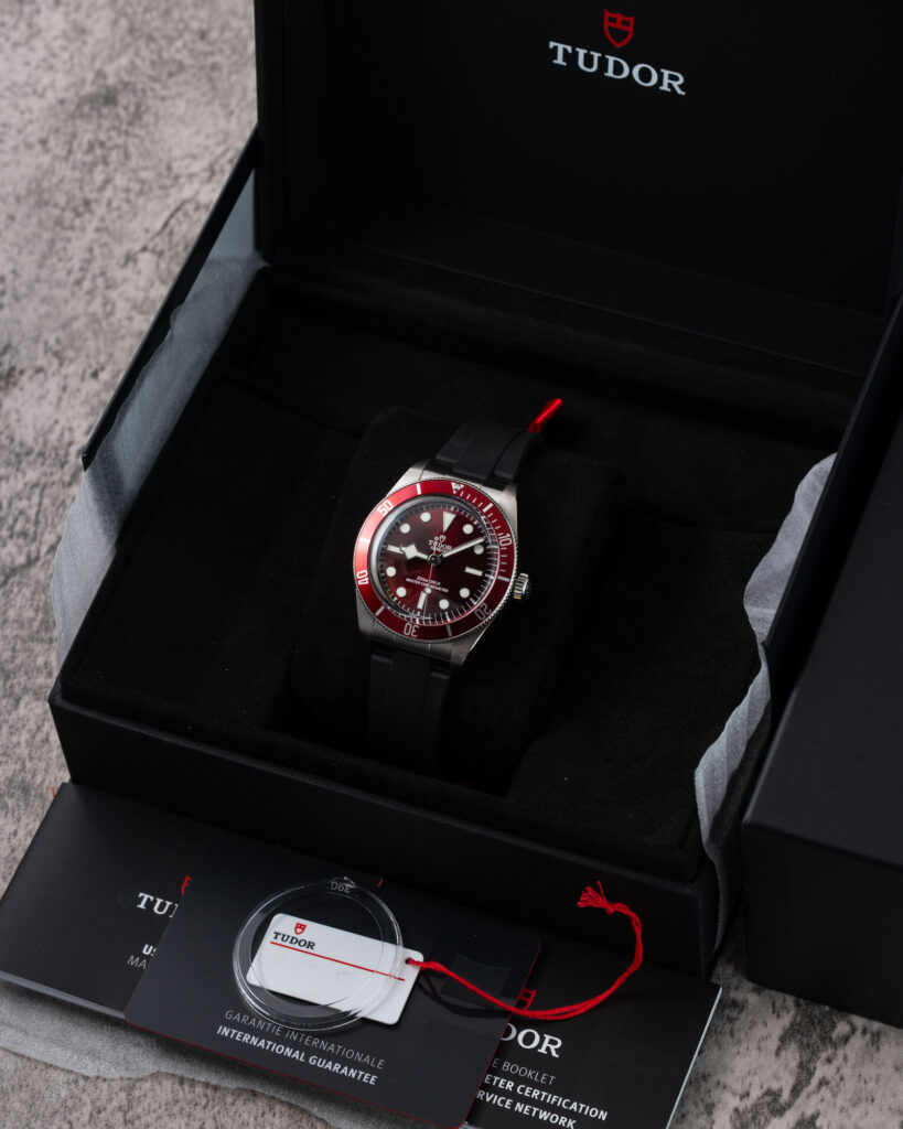 Tudor Black Bay 7939A1A0RU 2025