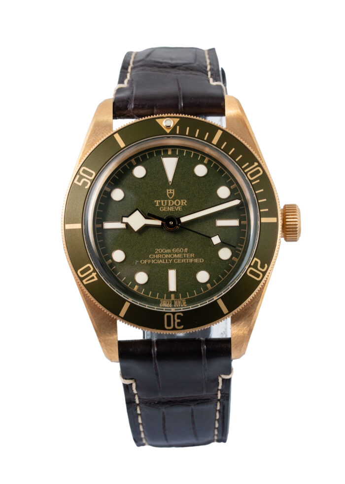 Tudor Black Bay 79018V 2021