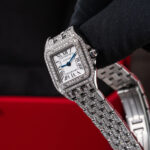 Cartier Panthere De Cartier WSPN0006 2018