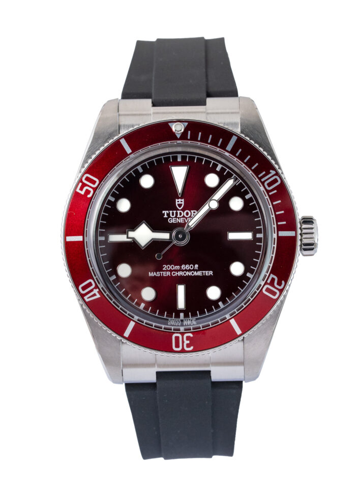 Tudor Black Bay 7939A1A0RU 2025