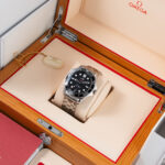 Omega Seamaster Diver 300M 210.30.42.20.01.001 2021