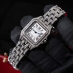 Cartier Panthere De Cartier WSPN0007 2017