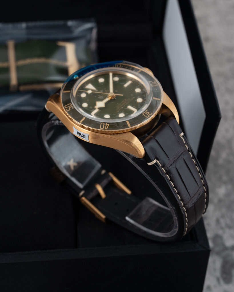 Tudor Black Bay 79018V 2021