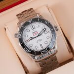 Omega Seamaster 210.30.42.20.04.001 2022