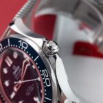 Omega Seamaster 210.30.42.20.03.002 2024