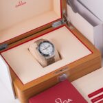 Omega Seamaster 210.30.42.20.04.001 2022