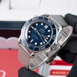 Omega Seamaster 210.30.42.20.03.002 2024