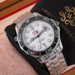 Omega Seamaster 210.30.42.20.04.001 2022