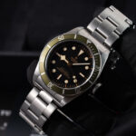 Tudor Black Bay 79230G 2021