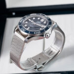 Omega Seamaster 210.30.42.20.03.002 2024