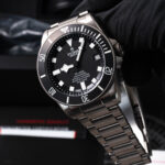 Tudor Pelagos 25600TN 2018