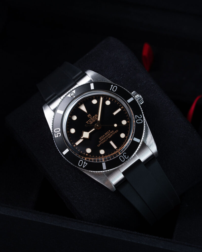Tudor Black Bay 54 79000N 2023