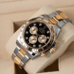 Rolex Daytona 126503 2024