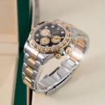Rolex Daytona 126503 2024