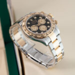 Rolex Daytona 126503 2024