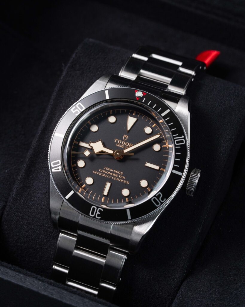 Tudor Black Bay 79230N 2023