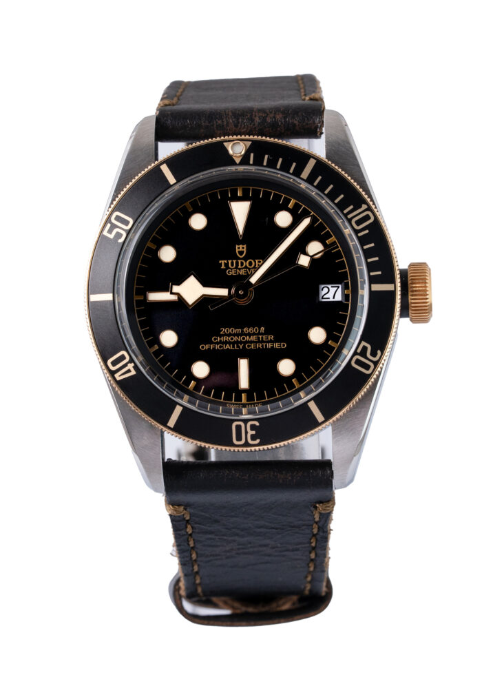 Tudor Black Bay S&g 79733N 2020
