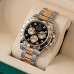 Rolex Daytona 126503 2024