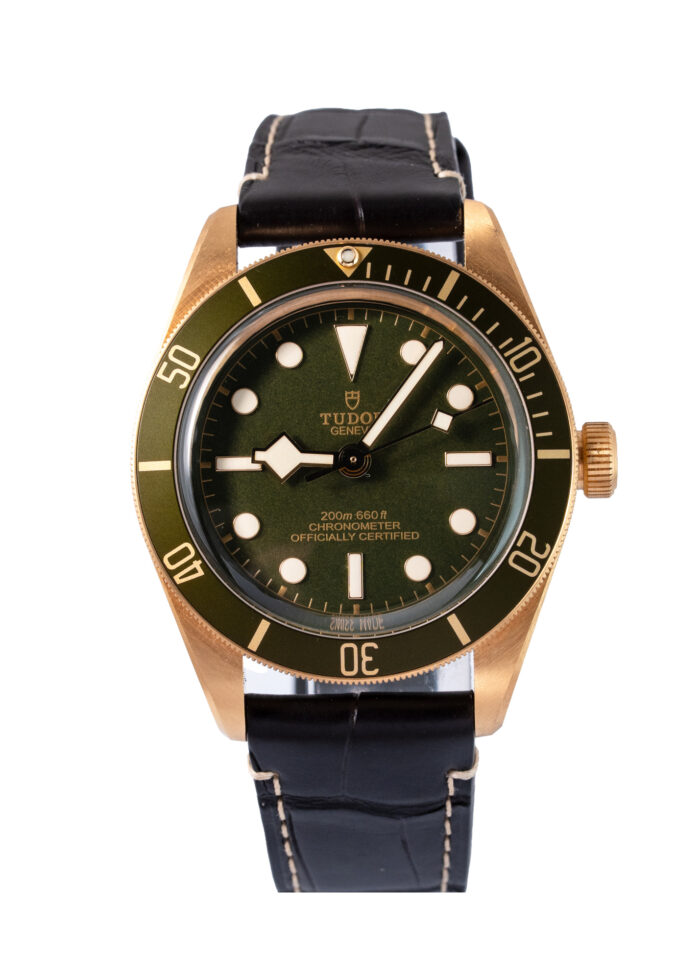 Tudor Black Bay 79018V 2025