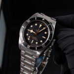 Tudor Black Bay 79230N 2019