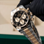 Rolex Daytona 126503 2025