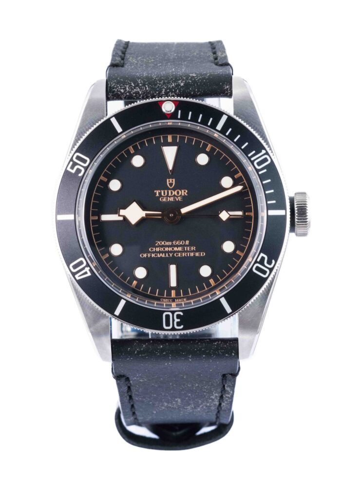 Tudor Black Bay 79230N 2024