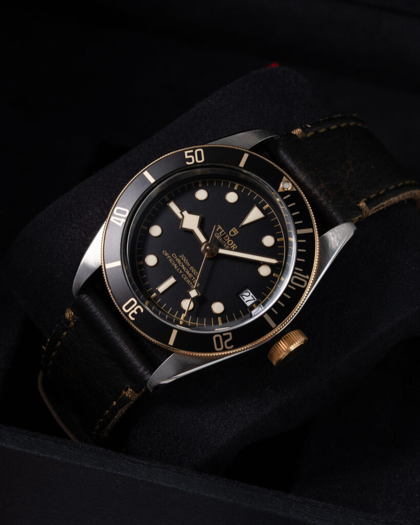 Tudor Black Bay S&g 79733N 2020