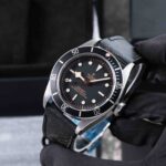Tudor Black Bay 79230N 2024