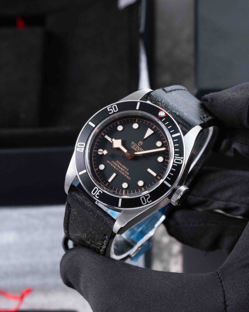 Tudor Black Bay 79230N 2024