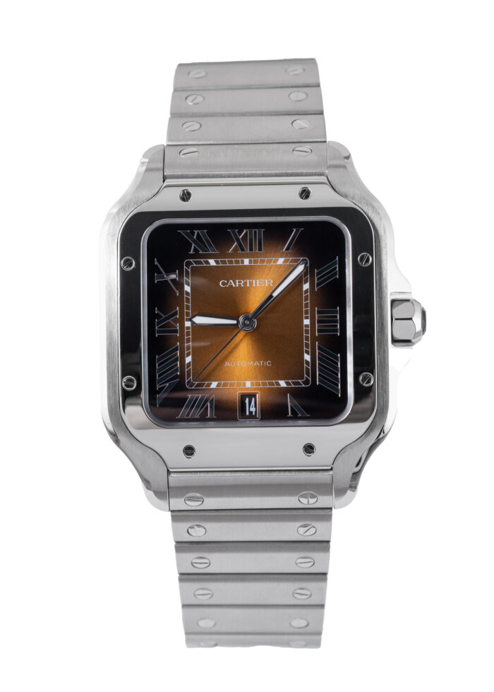 Cartier Santos De Cartier WSSA0064 2025