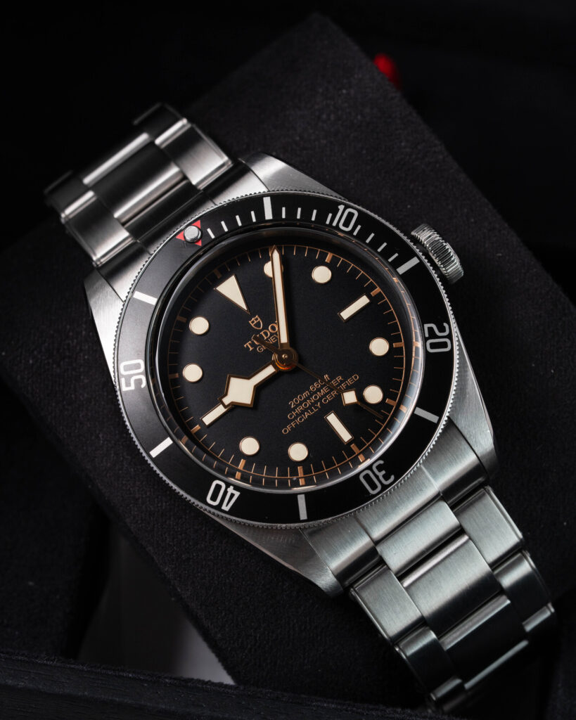 Tudor Black Bay 79230N 2019