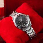 Omega Seamaster Aqua Terra 231.10.30.60.56.001 2013